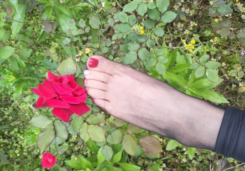 Black pantyhose-clad legs reclined among scattered fresh flowers and soft green leaves